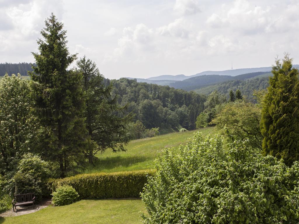 Pension Haus Brieden Winterberg Luaran gambar